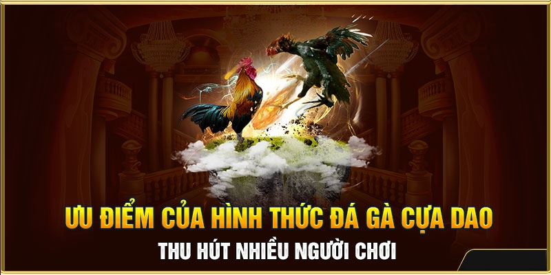 Ưu điểm vượt trội của hình thức đá gà cựa dao